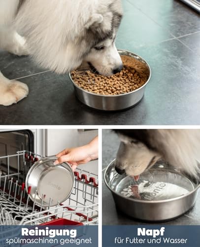 lionto Futternapf aus Edelstahl, 2700 ml, lebensmittelechter Hundenapf mit rutschfestem Silikonboden, rostfreier Wassernapf für Hunde und Katzen, spülmaschinenfest