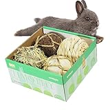 andwe Small Animals Play Balls Rolling Chew Toys & Gnawing Treats for Rabbits Guinea Pigs Chinchilla Bunny Degus - Pet Cage Entertainment Accessories (Pack of 4)