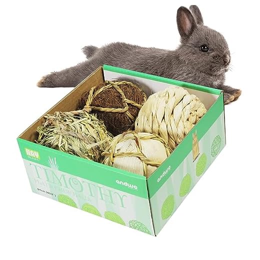 andwe Small Animals Play Balls Rolling Chew Toys & Gnawing Treats for Rabbits Guinea Pigs Chinchilla Bunny Degus - Pet Cage Entertainment Accessories (Pack of 4)