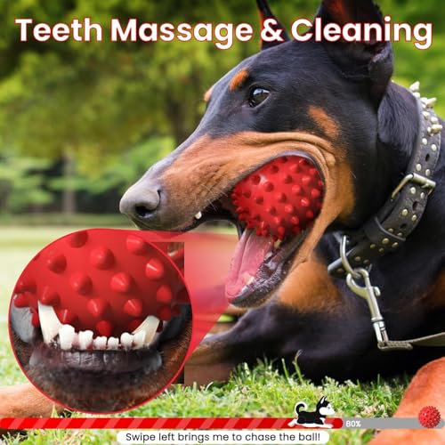 Image of Non-Toxic & Durable Chew Toy for Playing, Teething & Training, Hard Squeaky Chew Silicon Ball Toys for Dogs, Squeaky Toys for Dogs, Ball for Dogs (Red)