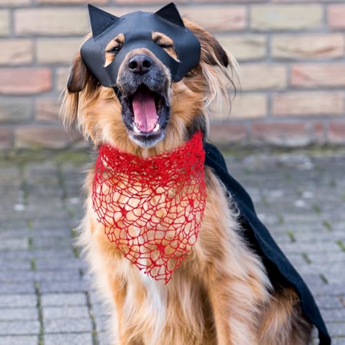 Accesorios Halloween para Perro Bandana y Diadema miniatura 4