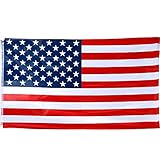 bandera eeuu vector Mostrar su apoyo para los usa en cualquier eventos deportivos o en otros nacionales para eventos y celebraciones