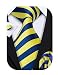 Barry.Wang Men Ties Fashion Suit Tie Set Yellow and Blue Necktie for Men