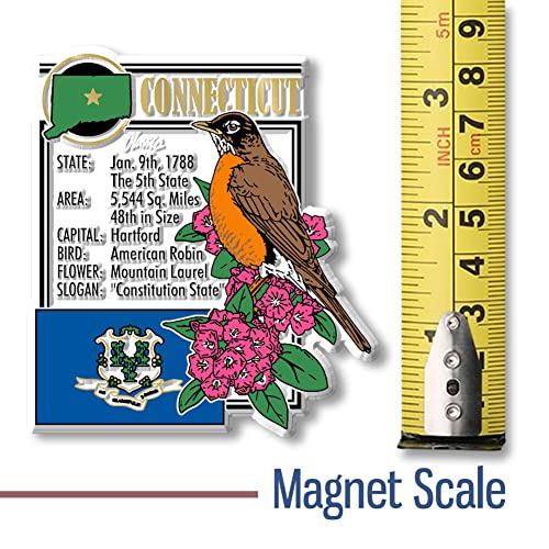 Imán decorativo de Connecticut 2.9 x 3.2 pulgadas miniatura 5