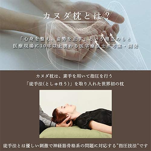 Amazon｜KANUDA ブルーラベル アレグロ枕 単品 カバー2点付き 安眠