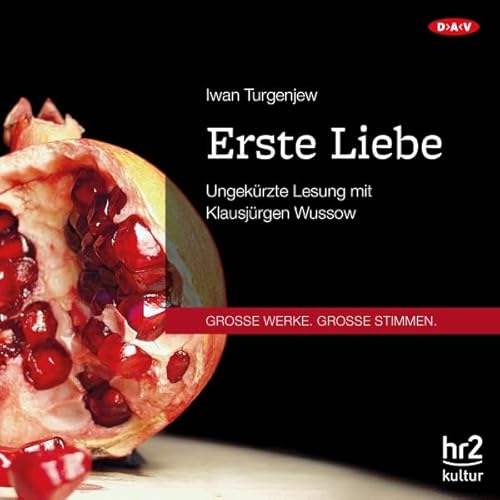 Erste Liebe Audiolivro Por Iwan Turgenjew capa