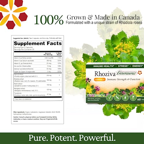 Rhoziva Immune. Immune System Booster Supplement, Stress & Energy Support. Rhodiola Rosea, Reishi Mushroom Extract, Astragalus, Prunella + Vitamins & Minerals. 60 Vegetarian Capsules. (Pack Of 1) #TOP5