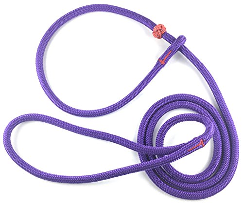 Dogs and More PatchArt Laisse et collier 2 en 1 pour retriever