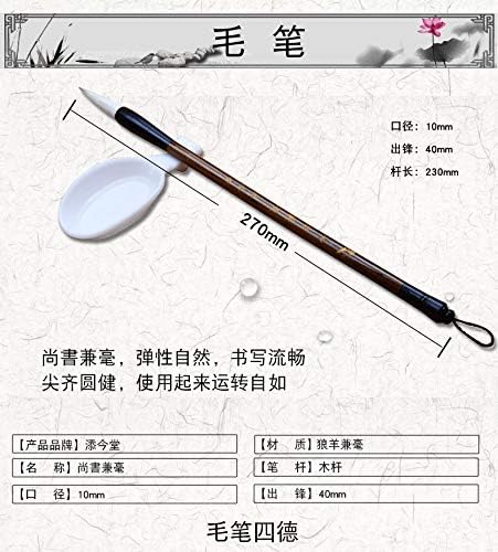 Miniatura 3 de Tianjintang Juego de escritura de agua mágica de caligrafía china sin necesidad de tinta ecológica para principiantes, paquete de 10 piezas, estilo