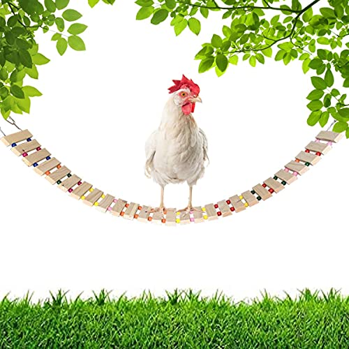 Nynel Hühnerschaukeln, Hühnerstall, Spielzeug, Naturholz, Hühnerleiter, Hühnerspielzeug, Sitzstange für Vögel, Geflügel… – Bild 6