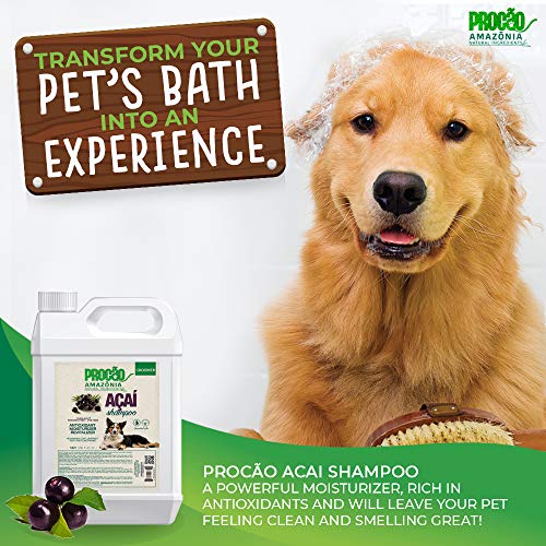 Procão Amazonia Açai Rich Is In Powerfull Antioxidants From The Acai Berry. Plant Derived Ingredients And Essential Oils Deliver Nourishing Skin And Coat Care, Dog Shampoo, 1.3 Gallon #TOP1