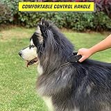 Upgrade Taktisches Hundehalsband Mit Kontrollgriff, Weich Gepolstertes Nylon Hundehalsband Verstellbare Halsband für Mittlere Große Hunde - Reflektierend für das Training