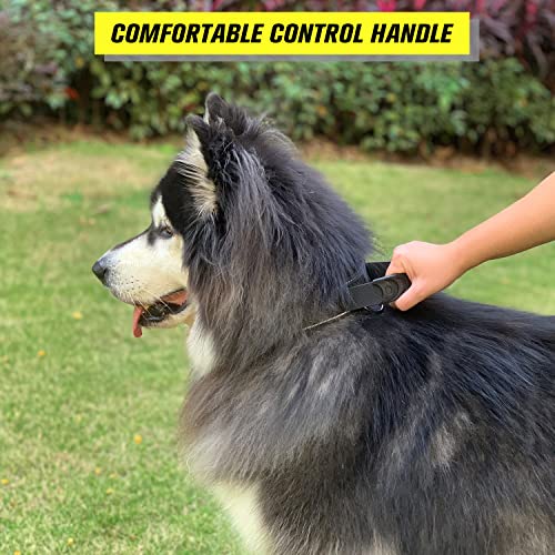 Upgrade Taktisches Hundehalsband Mit Kontrollgriff, Weich Gepolstertes Nylon Hundehalsband Verstellbare Halsband für Mittlere Große Hunde - Reflektierend für das Training