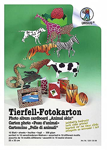 Preisvergleich Produktbild Bähr Tierfell-Tonkarton versch., Ursus 23x33 cm Einzelbogen