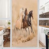 Decorative Window Film,No Glue Frosted Privacy Film,Stained Glass Door Film,Three Horse Running in Desert Storm Mythical Mystic Messenger Animals Habitat Print,for Home & Office,23.6In. by 78.7In Crea