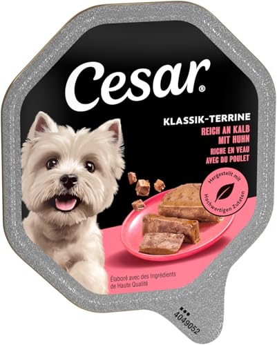 Cesar Klassik-Terrine Adult Schale 14 x 150g mit Stückchen reich an Kalb und Geflügel in Pastete (14er-Packung)