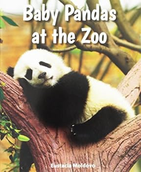 Paperback Baby Pandas at the Zoo Book