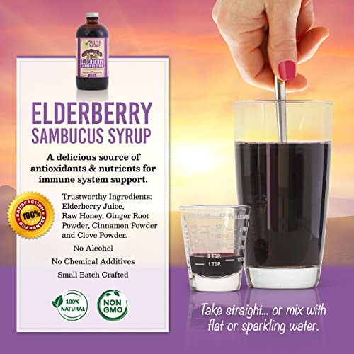 Proper By Nature Elderberry Sambucus Syrup, Daily Immune Support, Alcohol-Free, Non Gmo And No Chemical Additives #TOP1