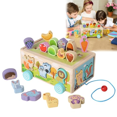 Juguetes Montessori, Juguetes Didacticos para Bebes 1 año 4 Formas de Jugar, Transferencia Térmica, Cordón de Ajuste...