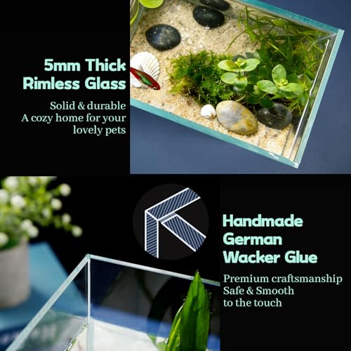 Image of LAQUAL 1 Gallon Fish Tank Starter Kit with Fish Net, 1 Water Changer Siphons & 2 Cleaning Cloth, Crystal Clear Glass Fish Tank, Small Fish Tank /Aquarium for Betta & Goldfish, Nice Home Decor