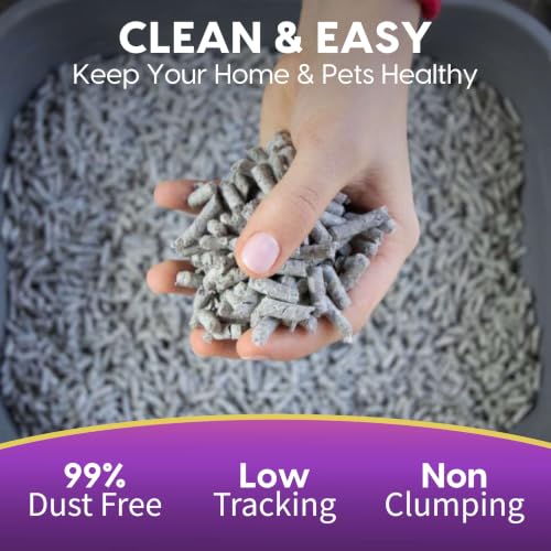 Image of Fresh News MAX Scented Multi-Cat Litter, Non-Clumping, 20 lb