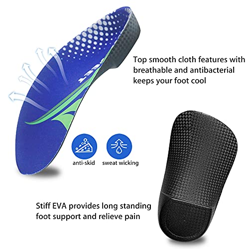 https://m.media-amazon.com/images/I/51oFkPyax-L._SL500_.jpg