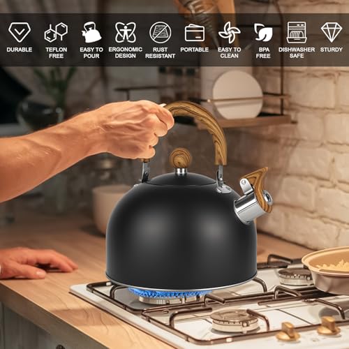 Bouilloire en acier inoxydable de qualité alimentaire supérieure 2,7L - 8