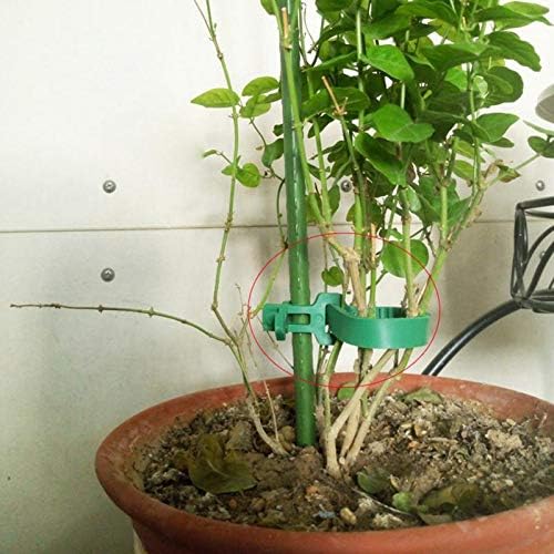 Miniatura 7 de 8 bandas de soporte para estacas de árbol, entrelazado ajustable resistente, reutilizables, para plantas de jardín y arbustos de 9.4 pulgadas