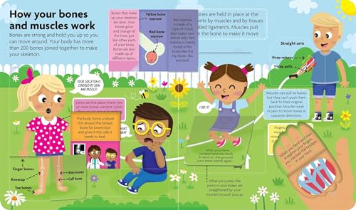 Discover the Human Body: Lift-the-Flap Book: Board Book with Over 50 Flaps to Lift! (FunFacts) - Image 3