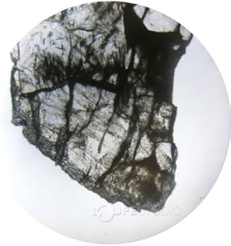 Amazon.co.jp: アーテック 偏光顕微鏡 キラキラ鉱石の観察 92855