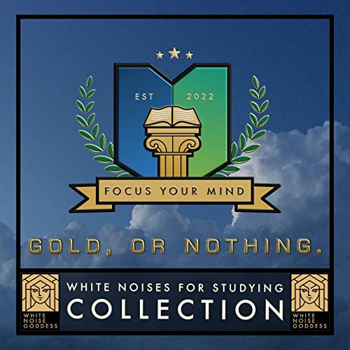 Deep Focus | Concentration | Music & Soundscapes For Studying Podcast Por White Noise Goddess capa
