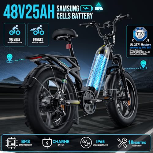 FREESKY Electric Bike Full Suspension and Brakes