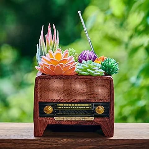 Succulent Pot Planter Vintage Home-Decor - Plant Pot Indoor for Succulents Plants Live,Small Flower Pot Retro Record Player Desk Decor Container for Air Plant Cover