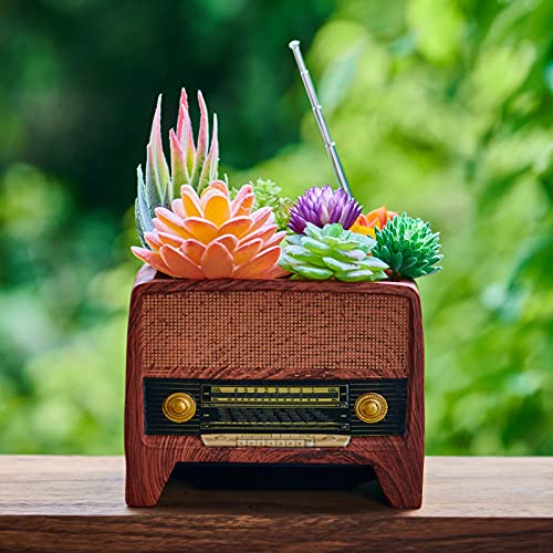 ORIGARDEN Succulent Pot Planter Vintage Home-Decor - Plant Pot Indoor for Succulents Plants Live,Small Flower Pot Retro Radio Desk Decor Container for Air Plant
