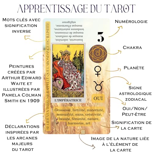 Image of Witchy Cauldron Carte de Tarot en Francais | 78-Card Beginner Tarot Deck with Meanings & Guidebook | Jeu de Tarot Francais Rider-Waite, Cartes avec Significations