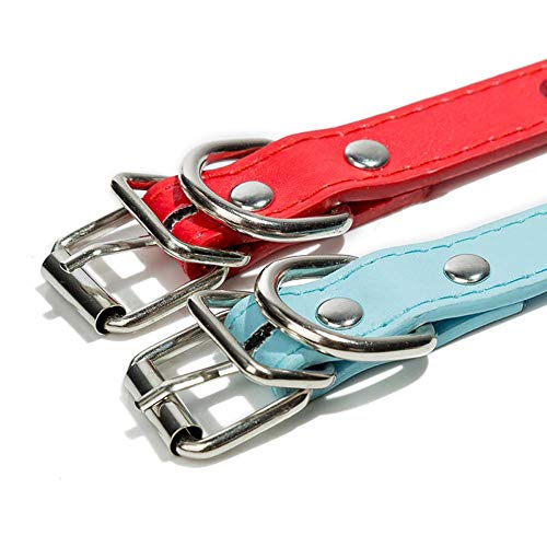 Collier de chien cuir véritable XS bleu résistant pour chien actif