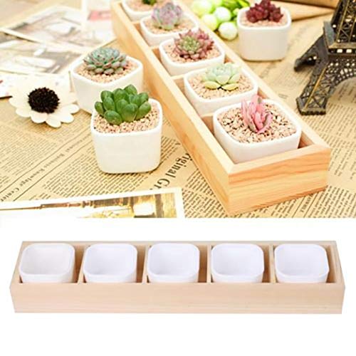 Sytauuan Planter Container,Succulent Plant Flower Decorative Square Pot Garden 2 Hole Box