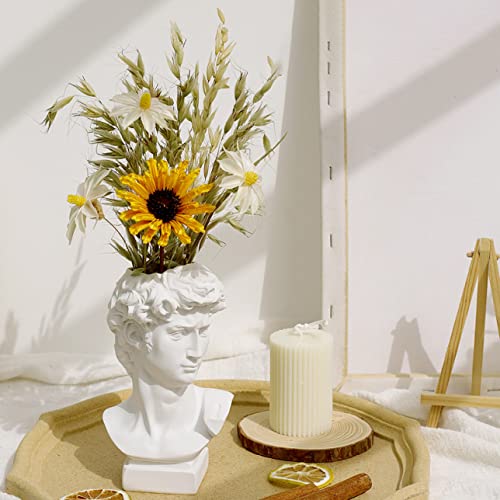 �ԕr ���� �t�����[�x�[�X ���ԕt�� �Ԋ� ��֑}�� �k�� ������� �h���C�t�����[ �Y��Ȓu�� ������ F �a���ԕr �t�����[�|�b�g �����p�ԕr �l�` �{���������� ���I �C���e���A �^�C�v1 �������� ���� �ԕr �v���[���g �M�t�g [XCZYL]