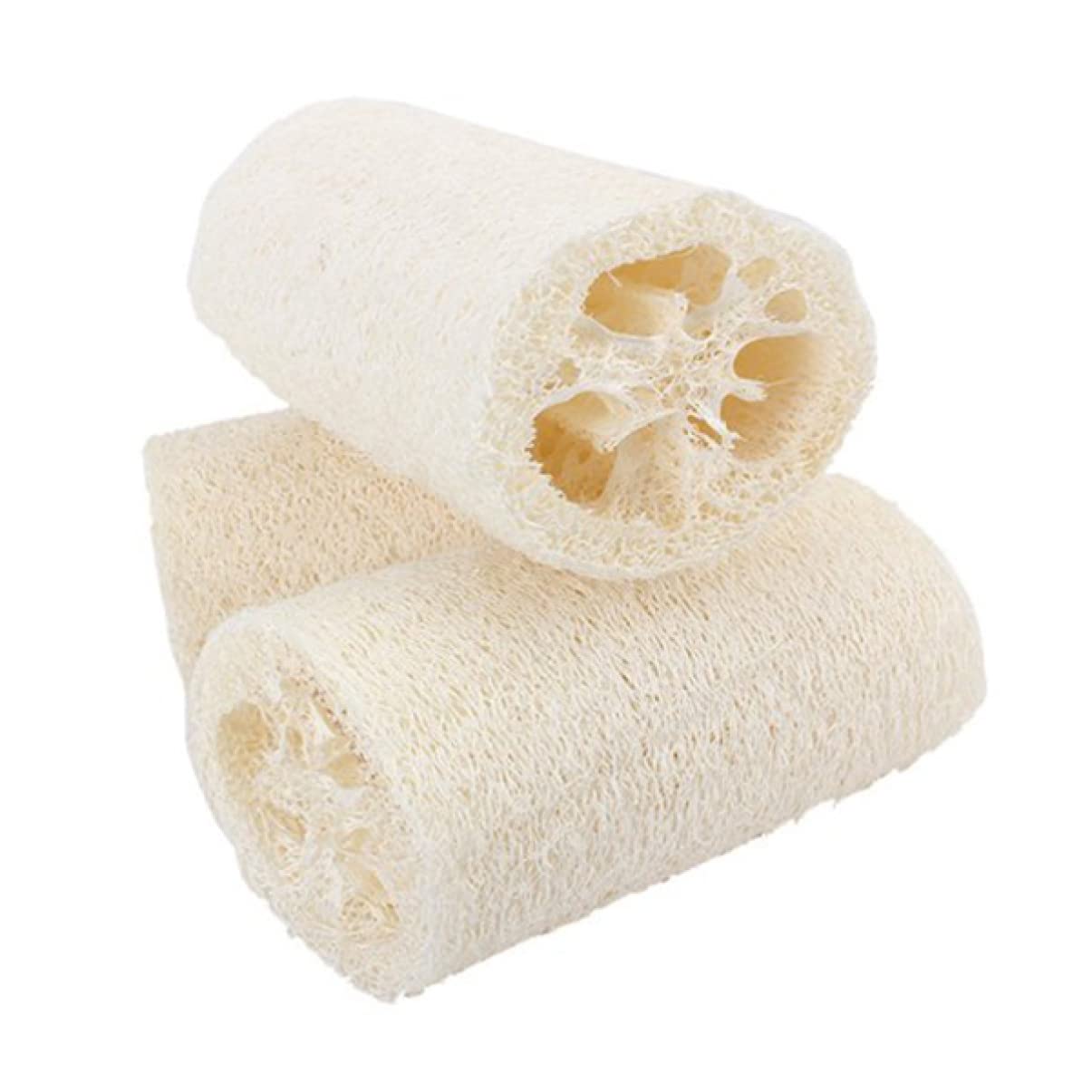 FRCOLOR 10pezzi Spugne Loofah Per e Doccia Scrub Per Esfoliante Fibroso Per La Della e