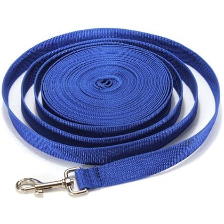 amazon long dog lead