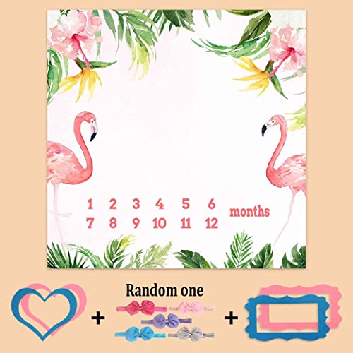 Image of Monthly Milestone Blanket for Baby Girl, Pink Flamingo Tropical Palm Leaf Growth Chart Blanket Baby Pictures, 47 inchx47 inch New Born Photography Backdrop 1-12 Months 4 Frames, 1 Headband, BTXTPH165