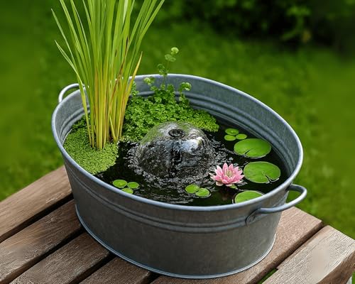 Garnelio Miniteich Pflanzen Set - Seerose Nymphaea Sulphurea vorgezogen in Kokosfaser - 3 Schwimmpflanzen - Seerosen-Dünger 25 Kapseln - Perfekt für Zinkwanne & Kübel - Pinke Seerose