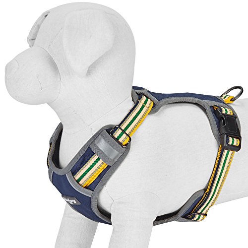 Blueberry Pet 9 Colors Soft & Comfy 3M Reflective Multi-Colored Stripe Mesh Padded No Pull Dog Harness Vest With Back Leash Clips, Large, Yellow & Green #TOP3
