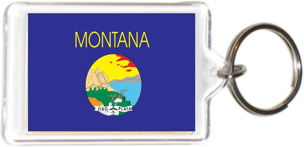 Flag USA United States Acrylic KeyChains KeyRings Holders A - M image 4