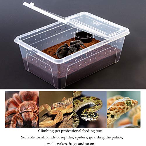 Hamiledyi 2 Pcs Reptile Small Snake Feeding Box Lizard Tarantula Habitat Cage Hatching Container Transparent Portable Plastic Mini Pet Houses For Scorpion Spider Frog thumb #3