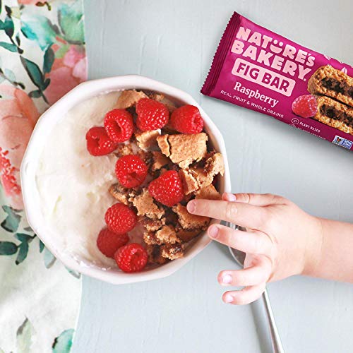 Nature's Bakery Stone Ground Whole Wheat Fig Bar 24 Twin Pack 24 - 2Oz #TOP3
