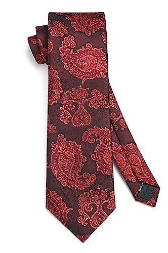 Image of HISDERN Ties for Men Paisley Tie and Pocket Square Woven Classic Floral Mens Ties Handkerchief Set Wedding Party Necktie