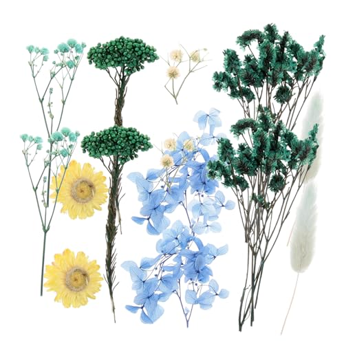 Mini Flores Secas Naturales para Manualidades miniatura 1