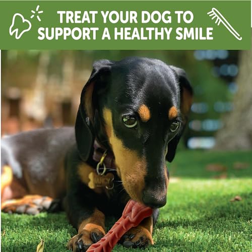 WHIMZEES Wellness Brushzees Dog Dental Treats, Extra Small Size Stick, (48 Count)