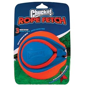Chuckit Rope Fetch Dog Toy Indoor and Outdoor Dog Toy Pack of 1  Cucciolini Doodles Chuckit rope fetch dog toy indoor and outdoor dog toy pack of 1   cucciolini doodles
